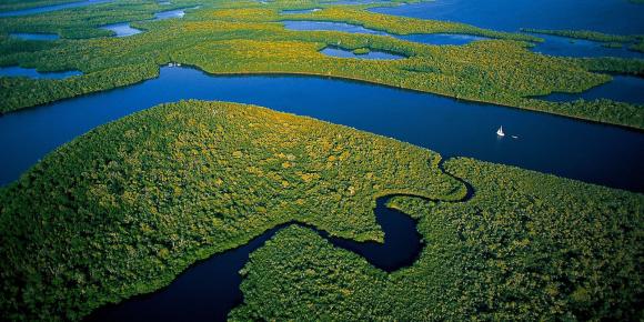 everglades