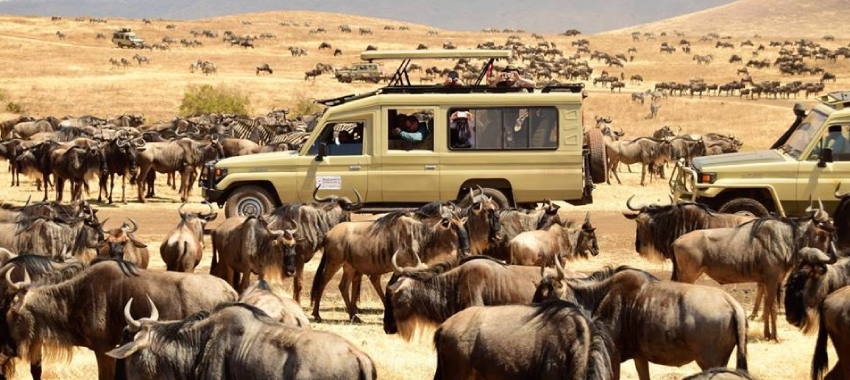 precio de safari en tanzania
