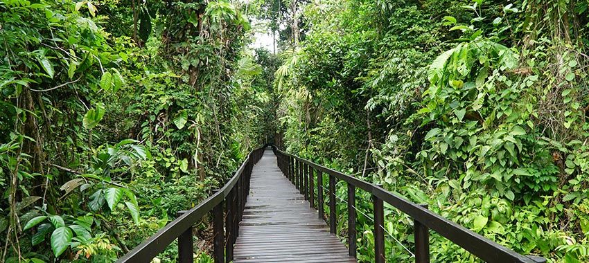 parque-nacional-cahuita