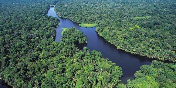 tortuguero