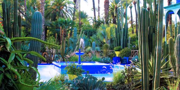 majorelle