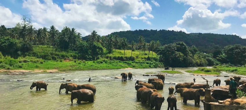 seguridad-en-sri-lanka