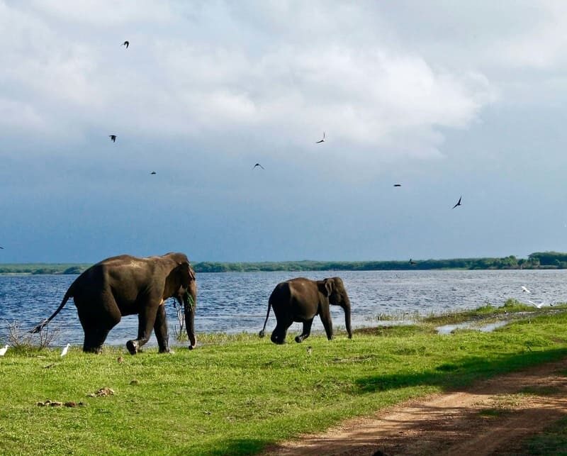 viaje-sri-lanka