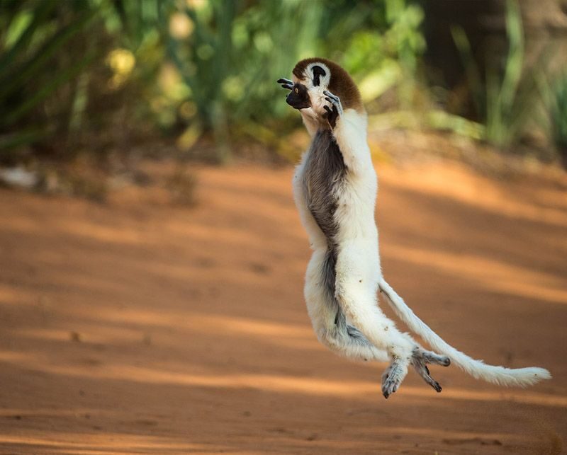 viaje-madagascar