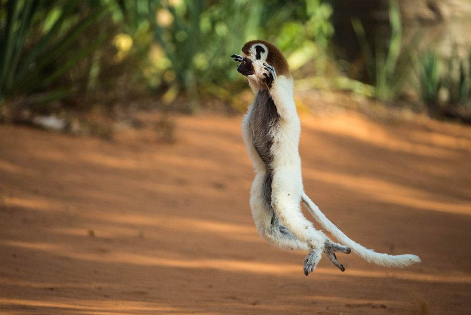 viaje-madagascar