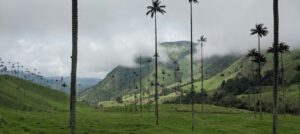 ¿Qué ver en Salento y el Eje Cafetero? Colombia