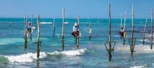 pescadores de palo en Sri Lanka