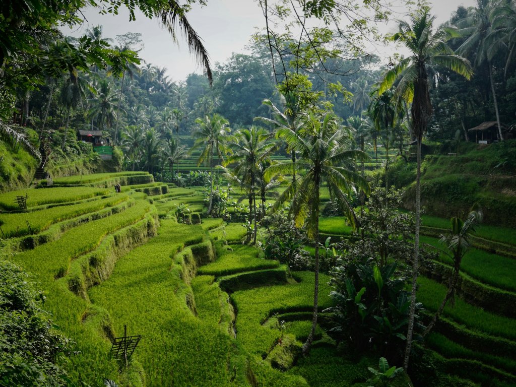 Tegallalang-Gianyar-Bali