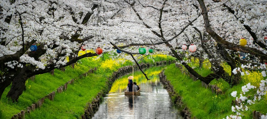 tradiciones de Japón