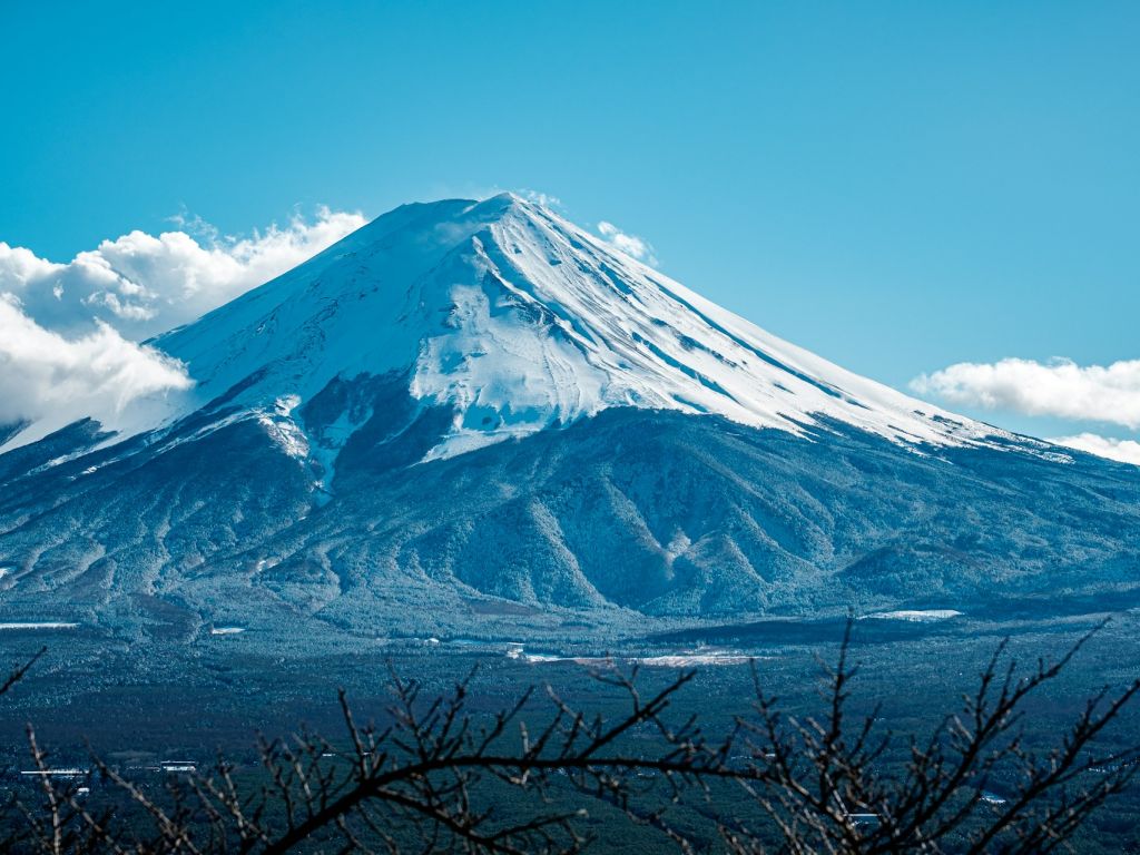 Cuál es la mejor época del año para viajar a Japón